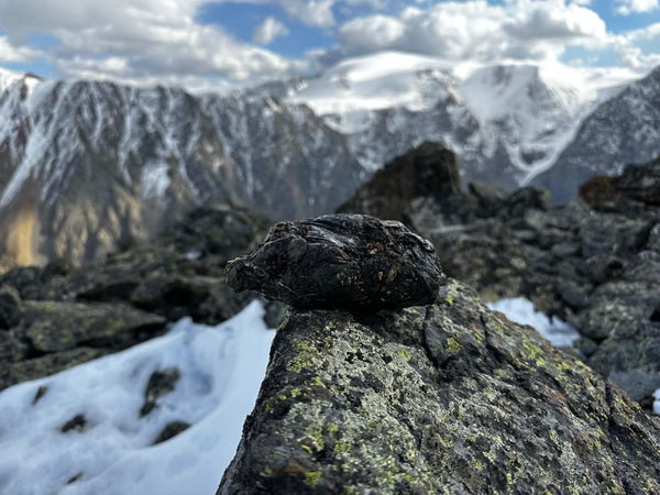 What’s the Difference Between Himalayan and Altai Shilajit?
