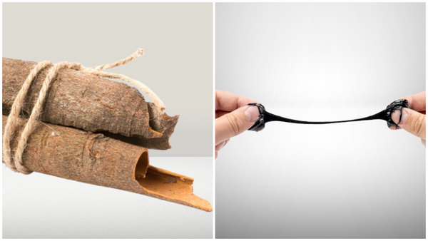 Shilajit vs Ashwagandha: Which One Works Best for Energy?