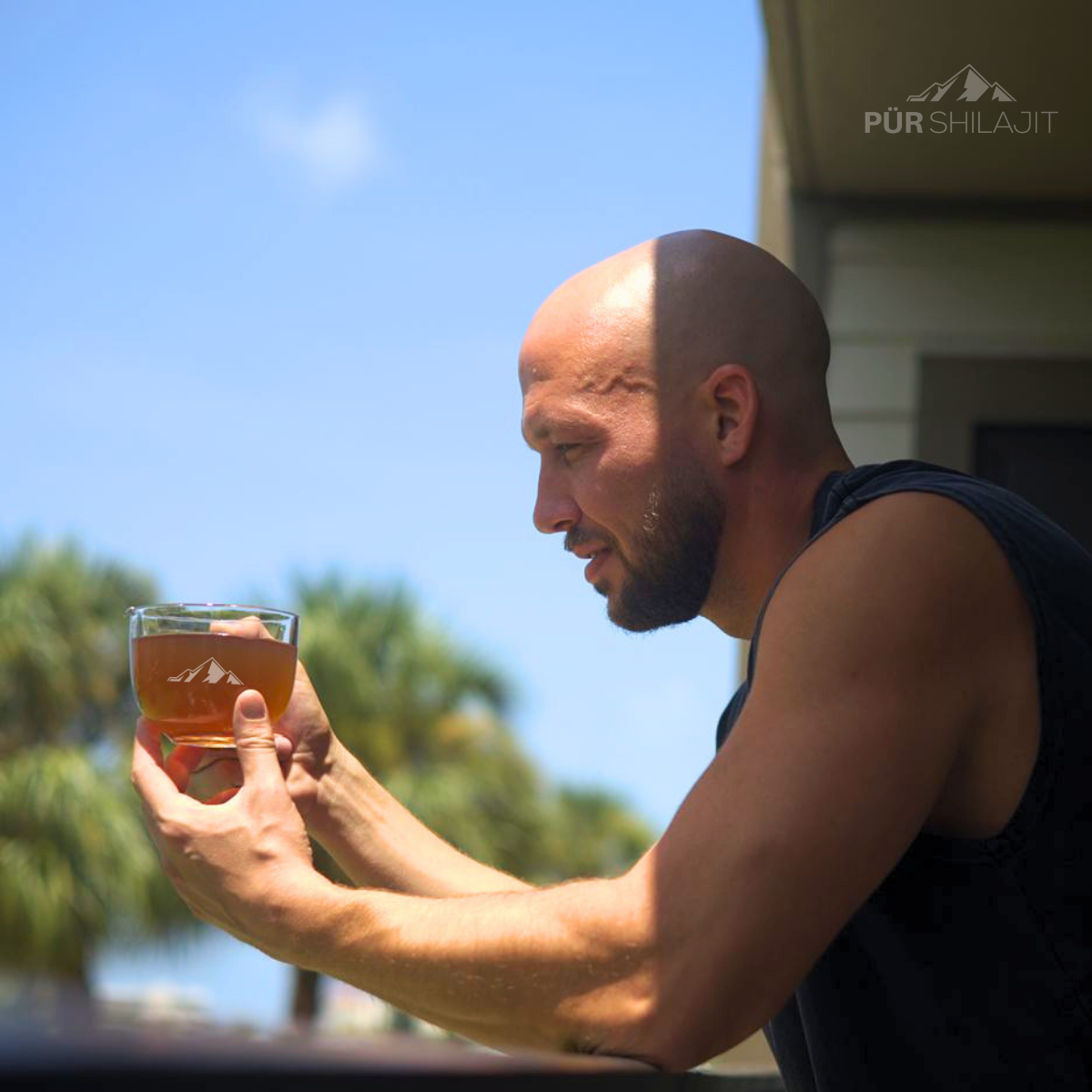 Pür Shilajit Resin