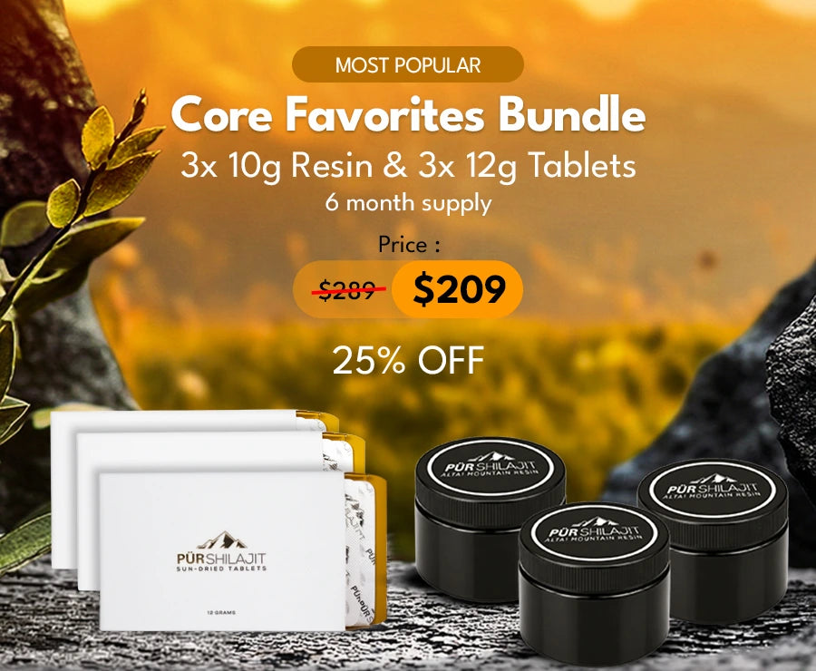 Core Favorites Bundle