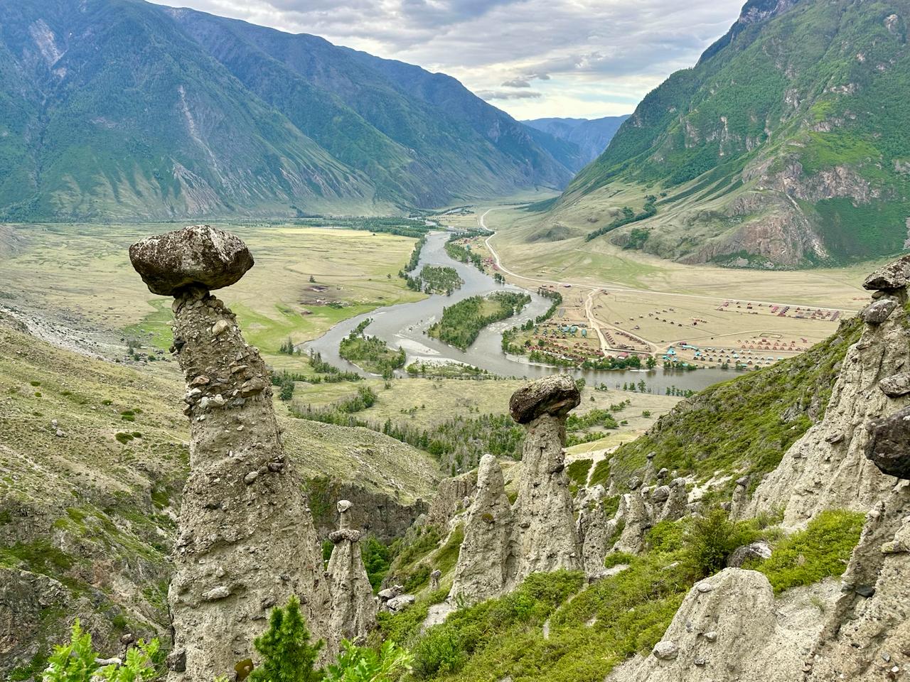 Pür Shilajit Daily Drive