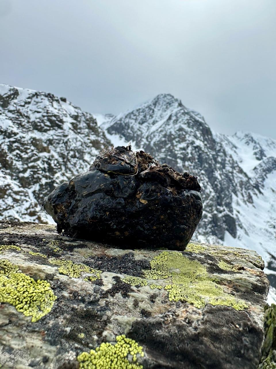 Pür Shilajit Daily Drive