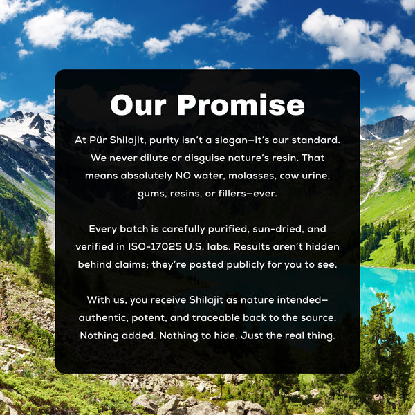 Pür Shilajit Resin