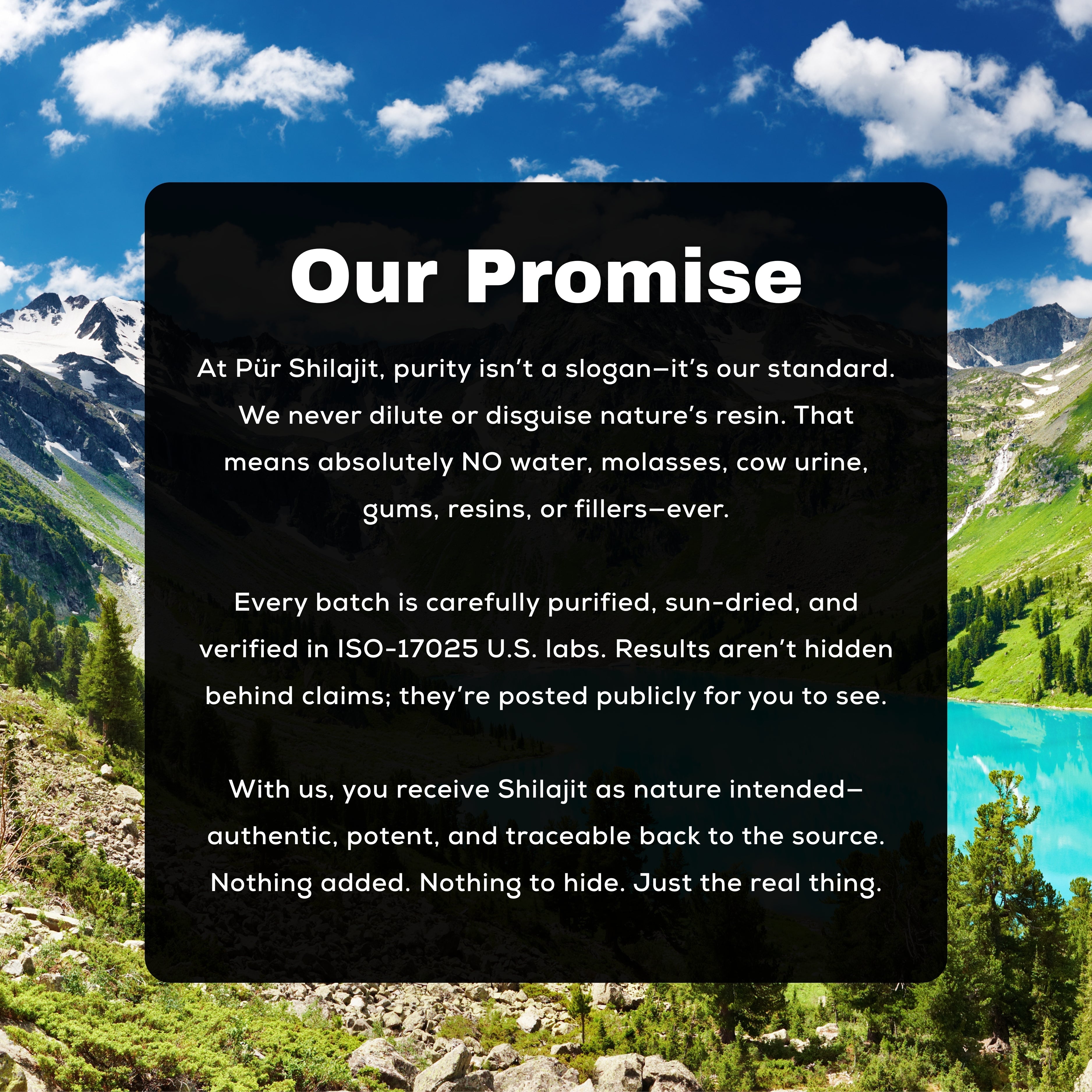 Pür Shilajit Resin 120g jar — annual supply of pure Altai shilajit resin